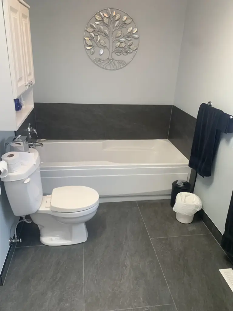 Tub, toilet and wall cabinet, bathroom renovation in Surrey